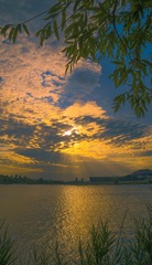 5D138385-152B-4A2E-A6A9-7CAC5EB698F7/L0/001