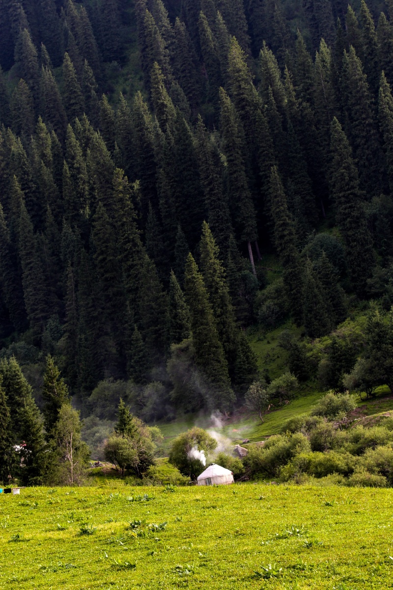 森林深处有人家