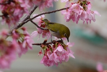 1003206
