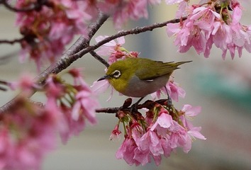 1003205