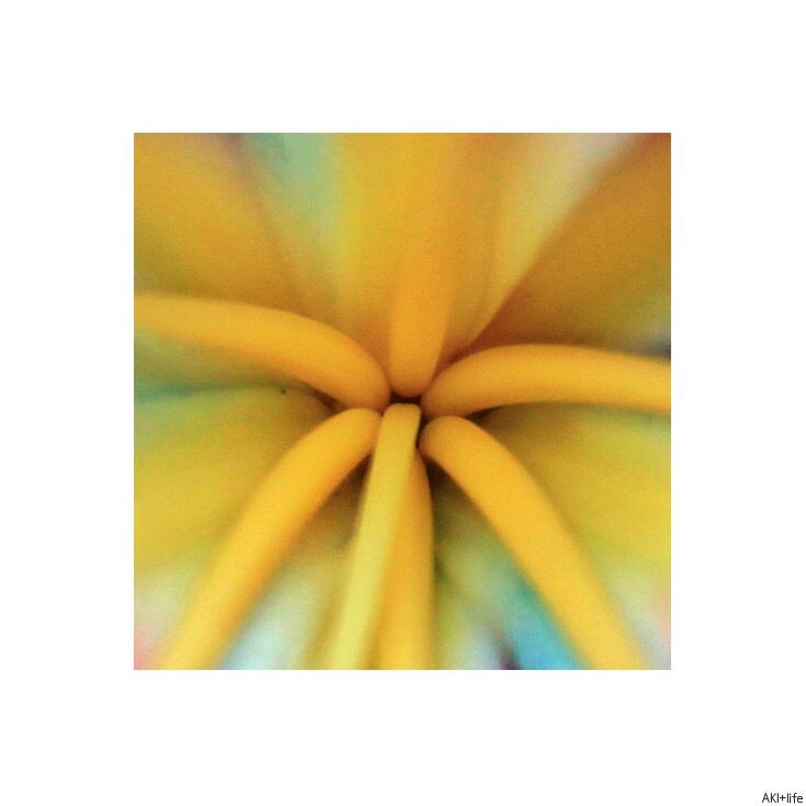 “唵。”<br />
