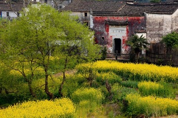 婺源 桥边2.jpg
