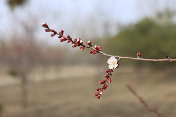 190312