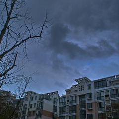 SDIM0215
