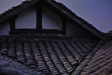 SDIM0388