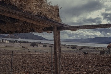 SDIM0025