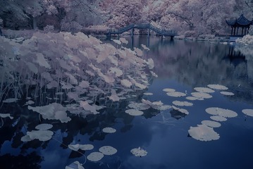DSCF0760