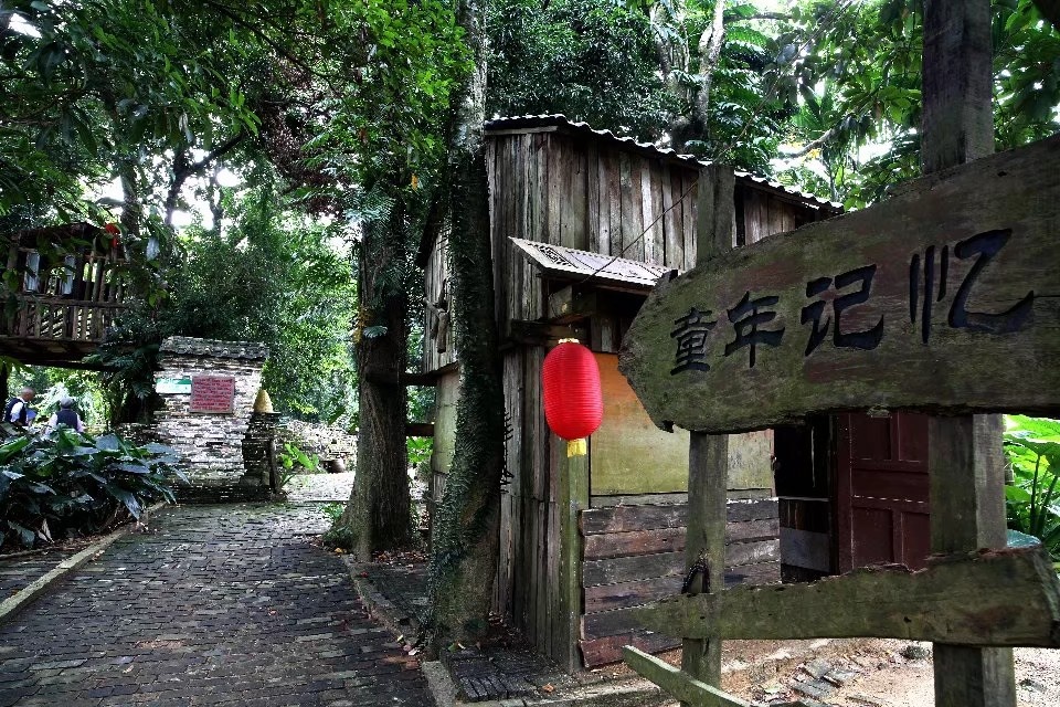 老房子一童年记忆