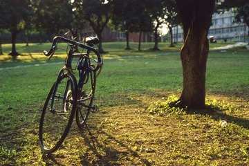2004，S.C.A.U.