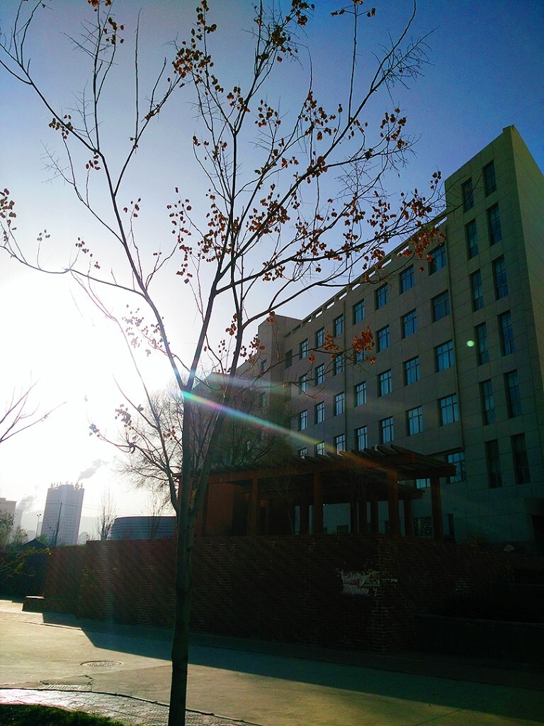 下午上完课<br />
突然发现阳光从分开的树枝中射了出来<br />
照在心上<br />
暖暖的<br />
连带着空气中的灰尘都舞动起来<br />
青春不老<br />
青春不死<br />
我们<br />
怎么痛快怎么过吧