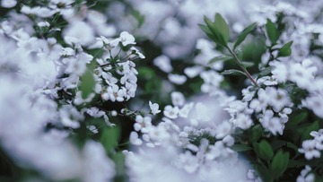 97711501-A60C-4D83-932B-A7A43A695ECA/L0/001
