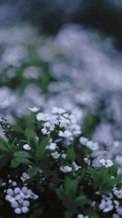 A5C3B77C-C949-48D9-8073-53275F394E9C/L0/001