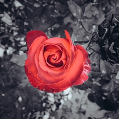 001