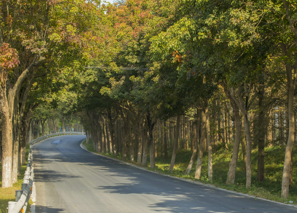 浦东新区老港塘下公路