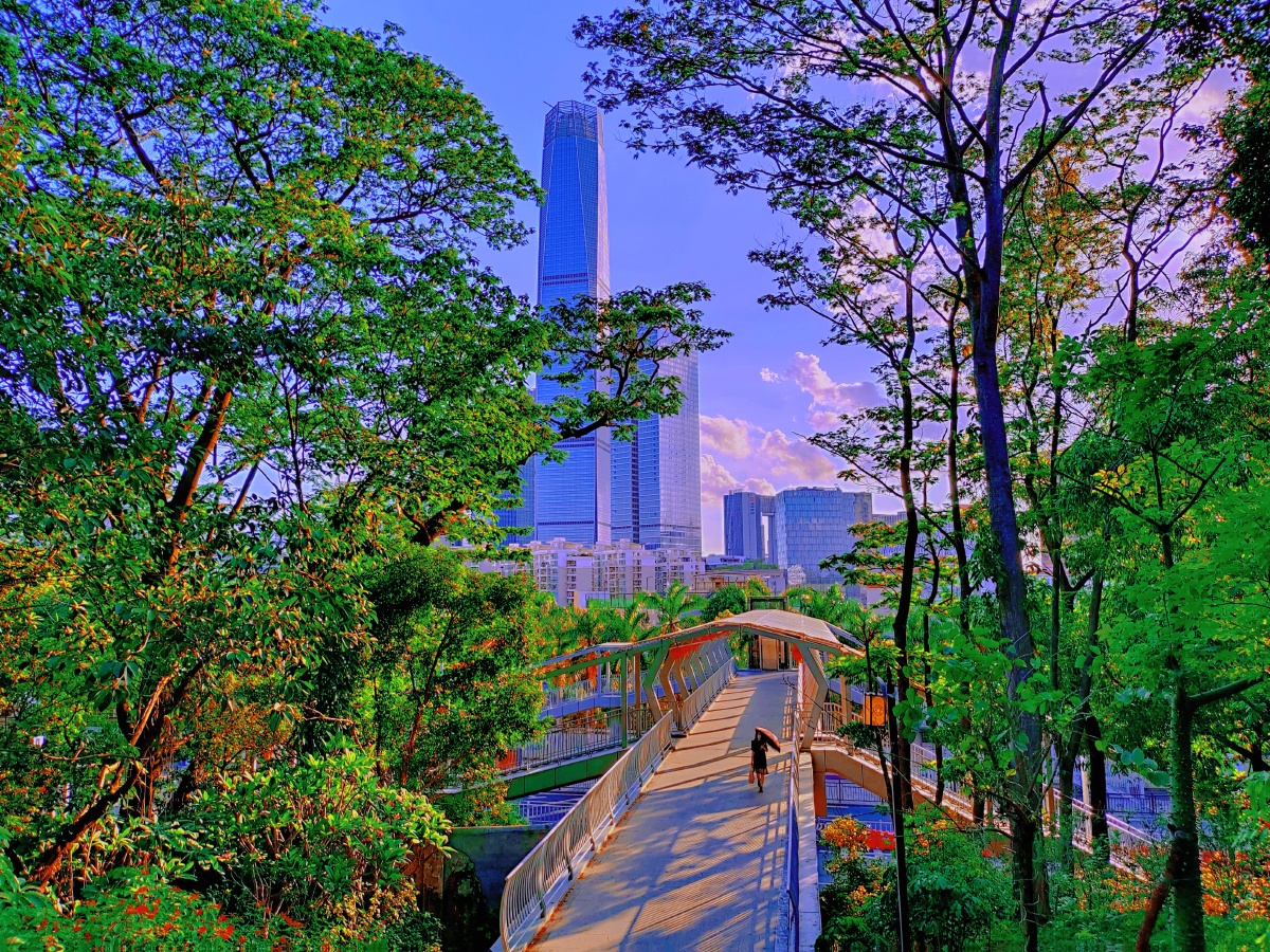 手机随手拍的东莞黄旗山城市公园,东莞环境决定是一流的.