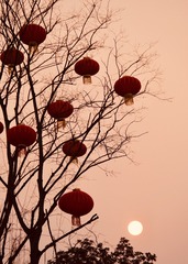 B0F2A918-2D11-457C-B54D-0819BE7DB0D3/L0/001