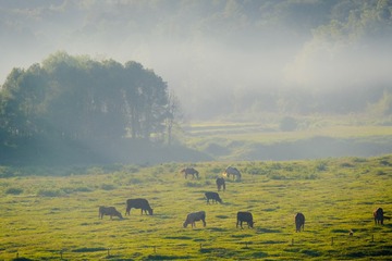 616D09D7-EF24-4E37-9AEA-77630ABF9FCD/L0/001