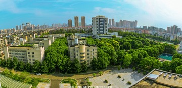 绿色之城