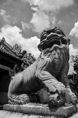 守护