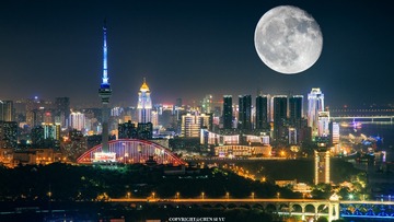 剑影琴心