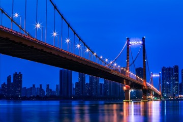 夜幕下的鹦鹉洲大桥