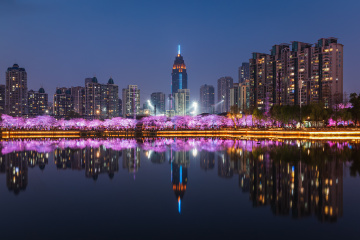 樱落镜湖