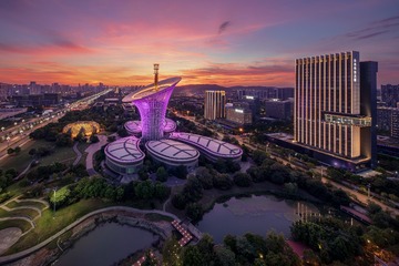 晚霞中的马蹄莲