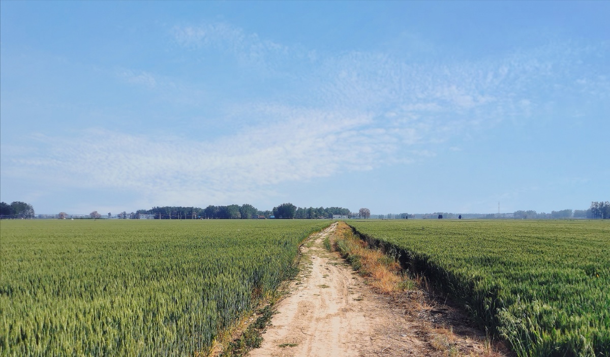 郊外篇乡间小路