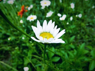 IMG_20160512_145932