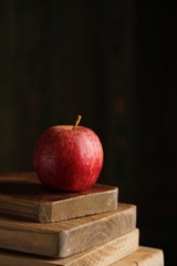 F379B88A-D130-45BC-835D-1241E18EF748/L0/001