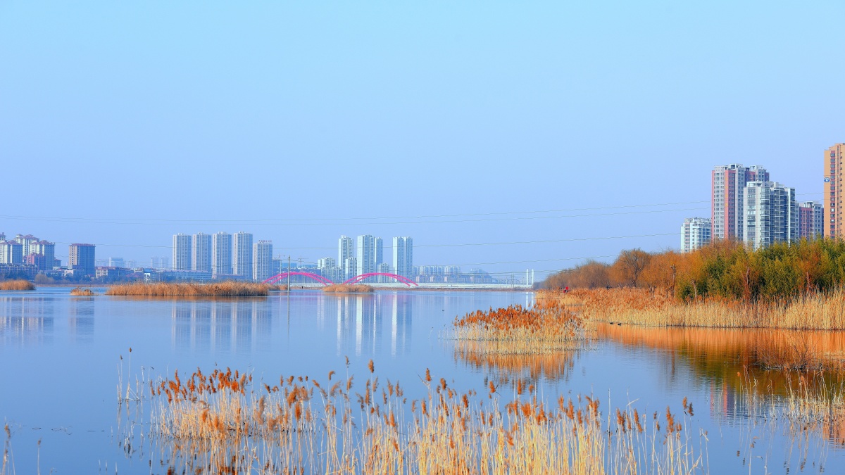 春天的气息拍于山东潍坊安丘市汶河湿地