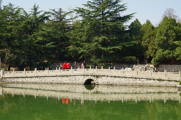IMG_20200323_085153
