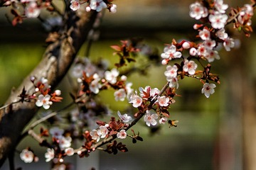 Saved PicturesIMG_20200322_181537-02