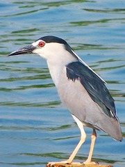 349063