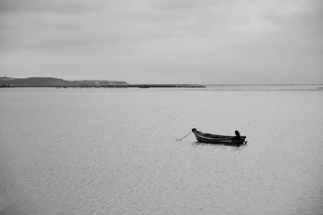 DSC_2831-01