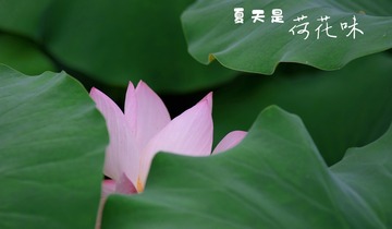 4B839354-28D6-45B4-996C-54E3F4A29E83/L0/001