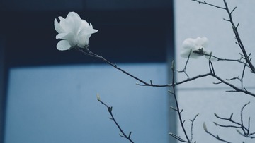 FA518A82-7DCE-44F7-99C4-79752FD45FC6/L0/001
