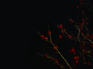 D3CB4669-7F4E-46A7-A1E9-E1E2D60E4FD0/L0/001