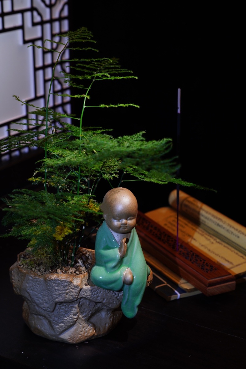 禅禅的最高境界就是心如止水