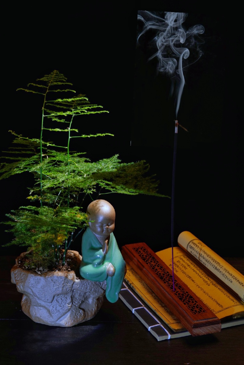 禅禅的最高境界就是---心如止水 - 摄影师5945 - 图虫