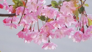 42DB020C-F3BD-4FF1-8CCD-FB8C0EE20772/L0/001