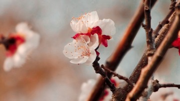 AE31E460-F882-431F-98DE-5BC0AAC3CCDB/L0/001