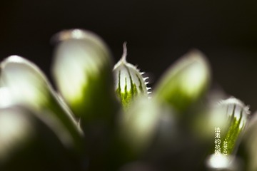 IMG_486s6