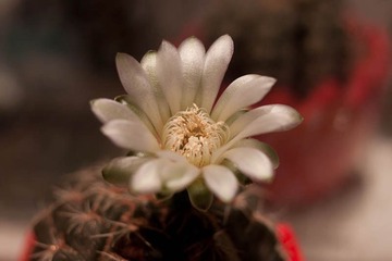 034