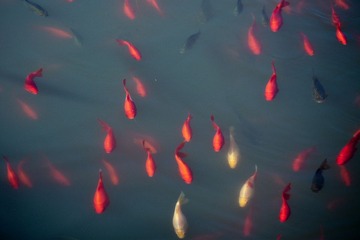 5077518307_554d3cc7a4_b