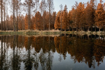 _DSC0506