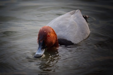 DSC00108_??QWE-01