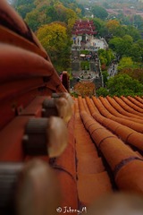 DSC00863-1