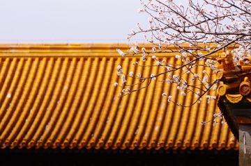 7F90D143-615E-4EC3-B19E-5D74CC72D9CB/L0/001