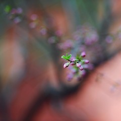 D0358541-6D54-4085-9704-831F38C2FB0B/L0/001